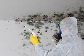  , USA Mold Removal & Remediation Pros